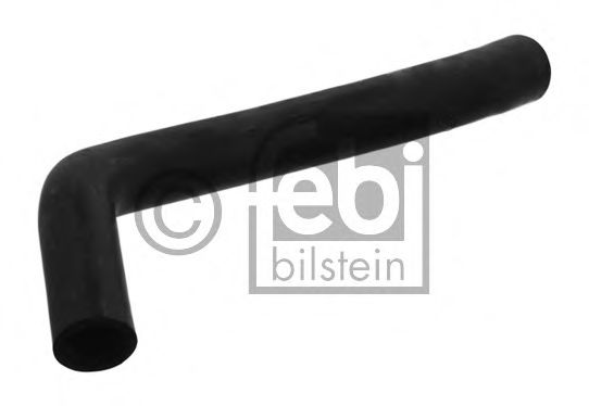 Furtun radiator