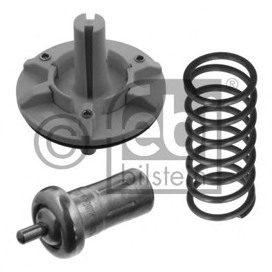 termostat,lichid racire