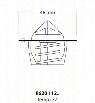 termostat,lichid racire