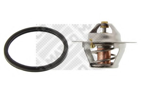 termostat,lichid racire