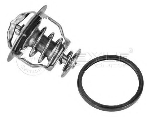 termostat,lichid racire