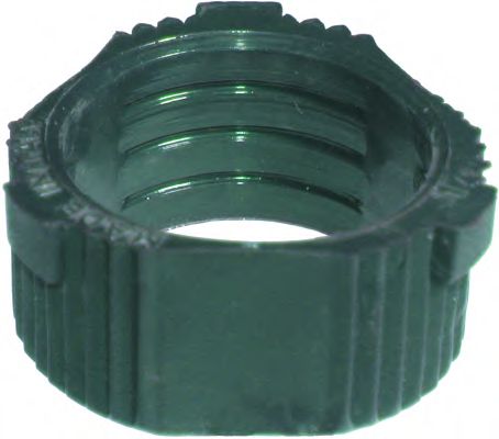 bucsa,arbore de directie