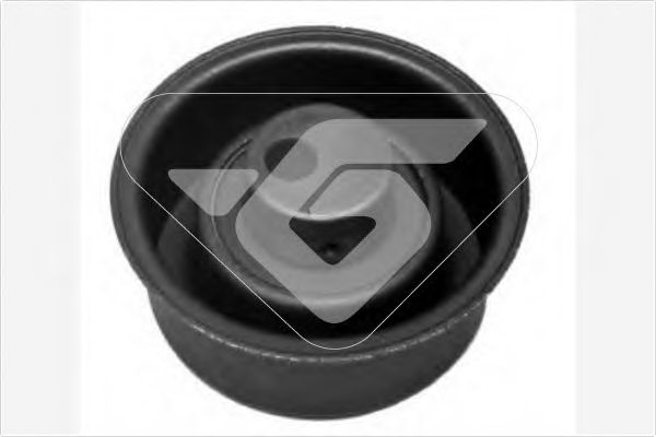 rola intinzator,curea distributie