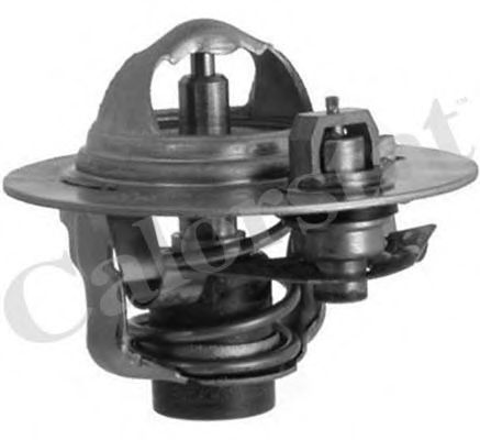 termostat,lichid racire
