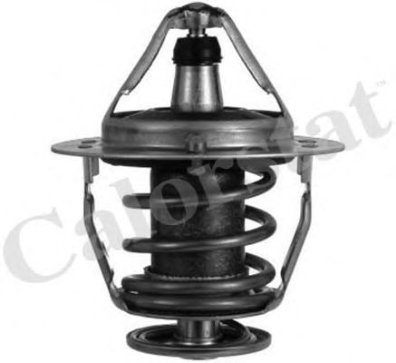 termostat,lichid racire