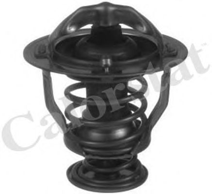 termostat,lichid racire