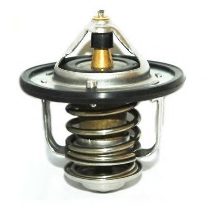 termostat,lichid racire