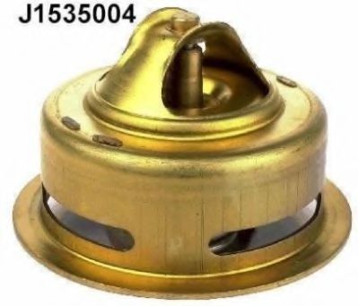 termostat,lichid racire