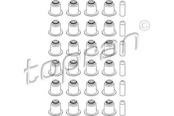 Set garnituri, ax supape