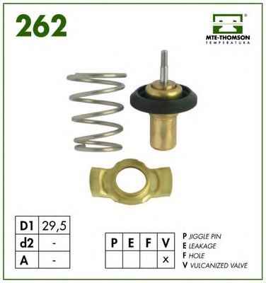 termostat,lichid racire