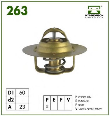 termostat,lichid racire