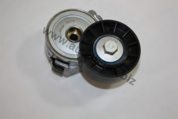 intinzator,curea transmisie