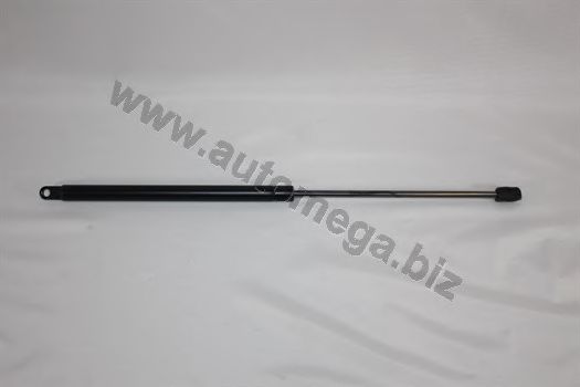 Amortizor portbagaj