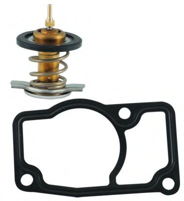 termostat,lichid racire