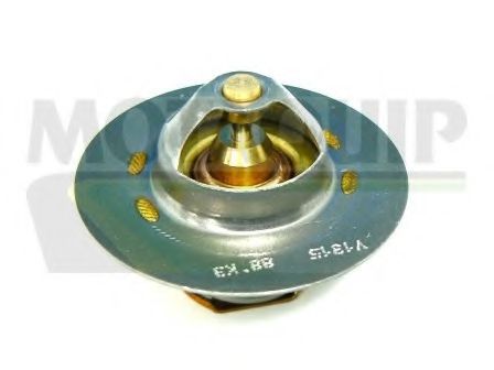 termostat,lichid racire