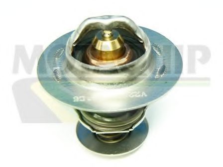 termostat,lichid racire