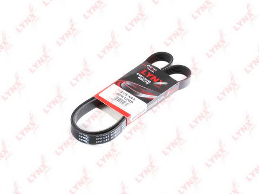 Curea transmisie cu caneluri