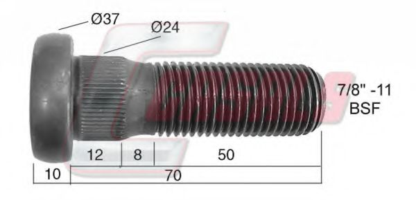 Bolt roata