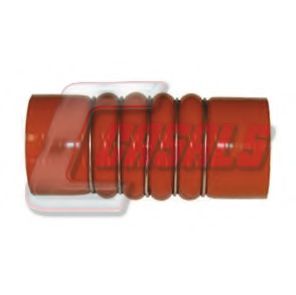 Furtun ear supraalimentare