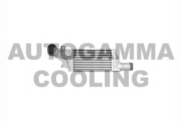 Intercooler, compresor