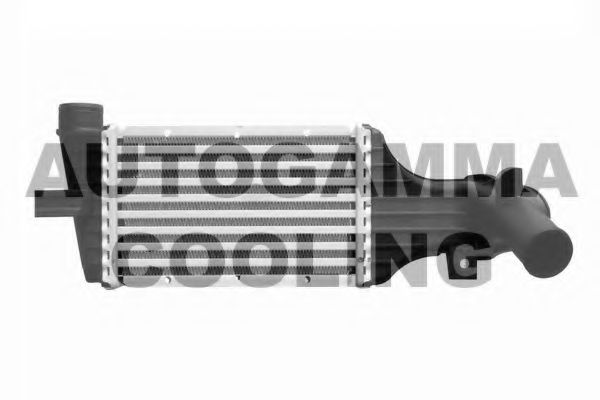 Intercooler, compresor