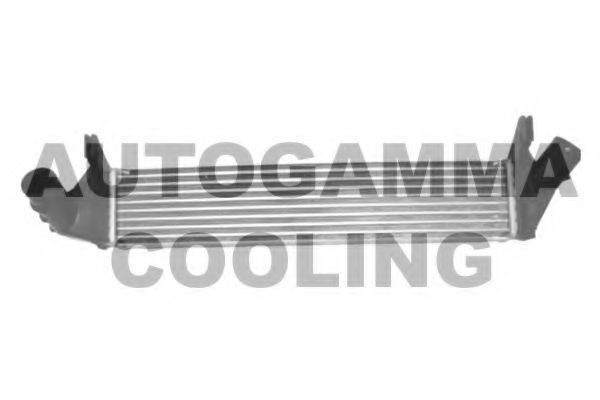 Intercooler, compresor