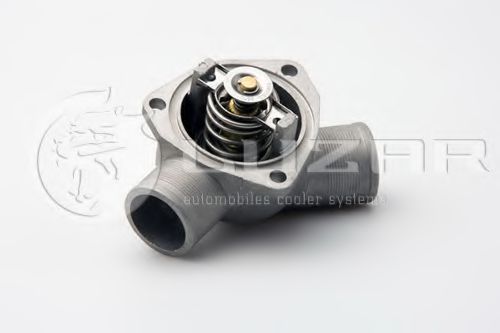 termostat,lichid racire