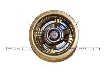 termostat,lichid racire