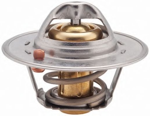 termostat,lichid racire