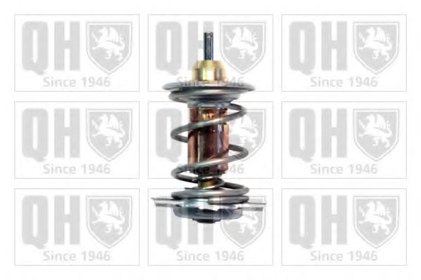 termostat,lichid racire